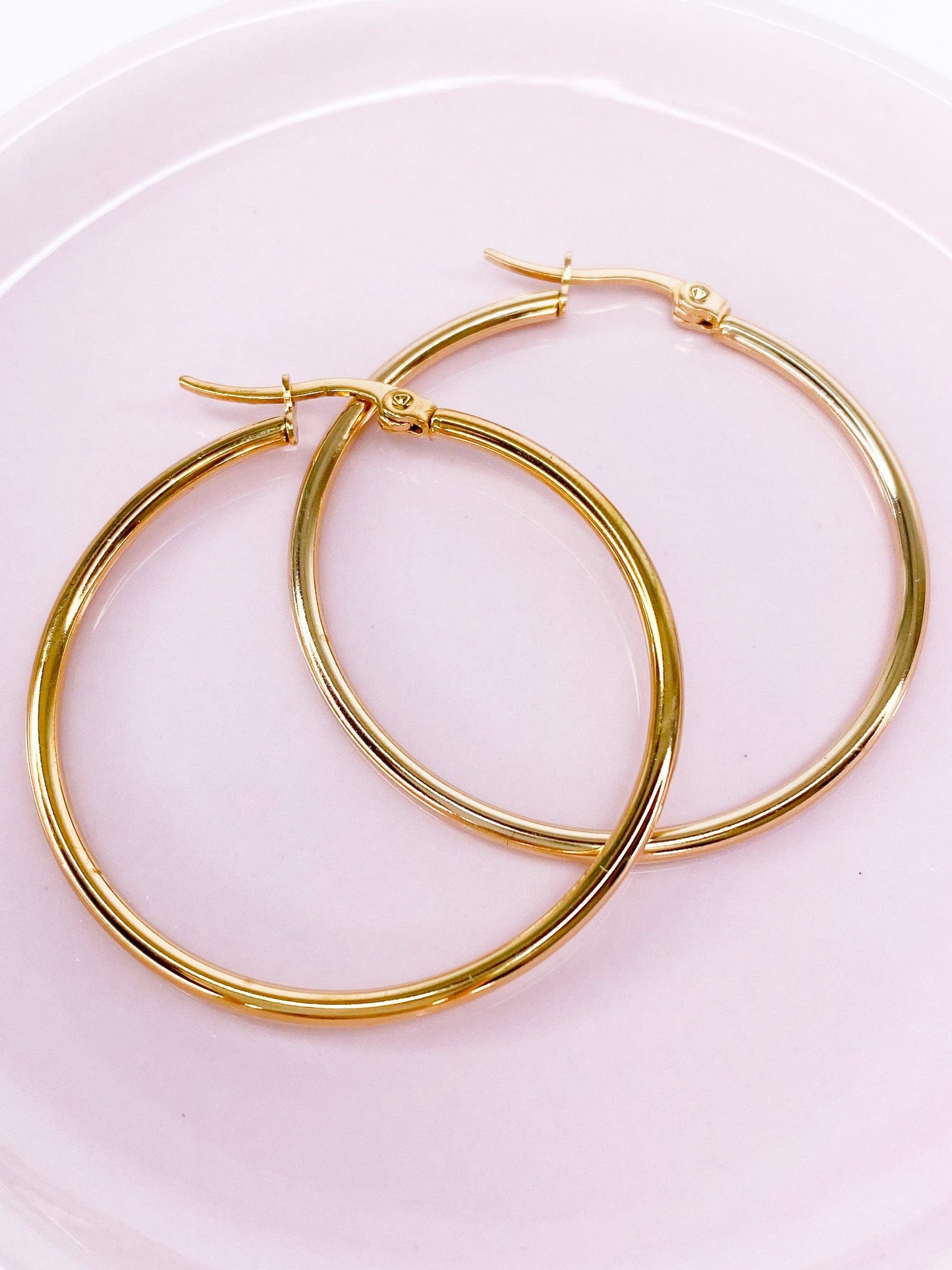 Earrings Goldie Hoop Earring